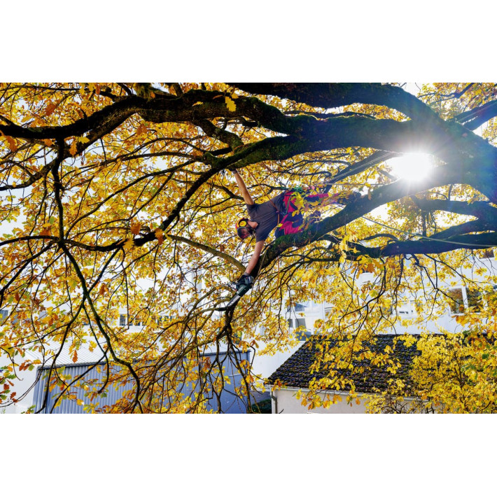 Акумуляторна ланцюгова пила MS 18 LTX BL 25 (601595900)
