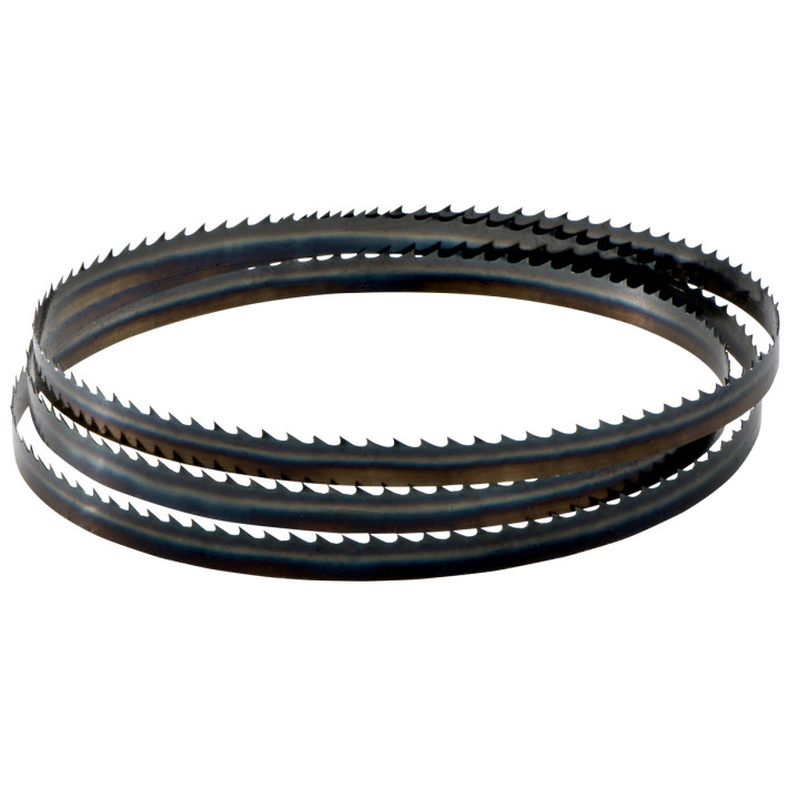 Пилкове полотно для стрічкової пилки 1505x12x0,36 A6 (0909040825)